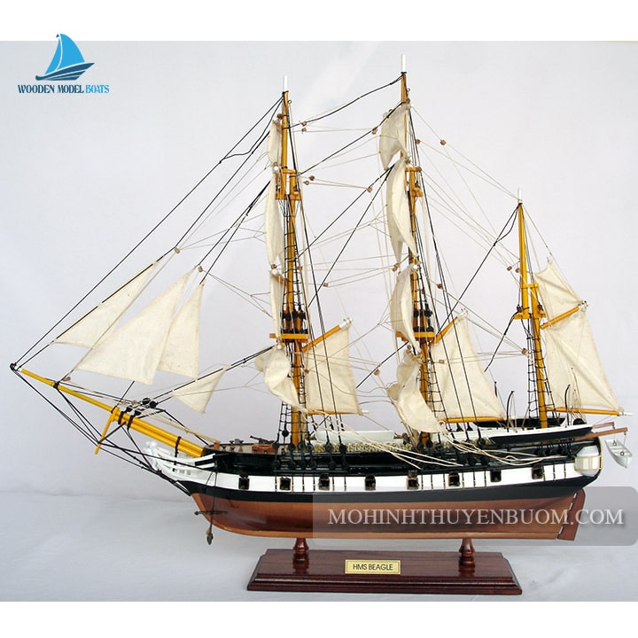 Mô hình thuyền gỗ HMS BEAGLE
